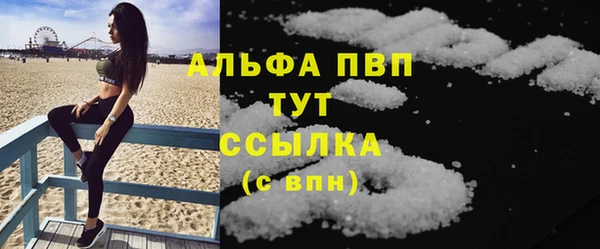 прущие грибы Карпинск