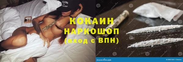 дживик Касимов