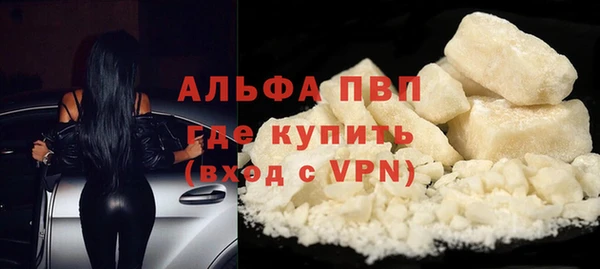 дживик Касимов