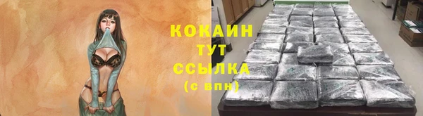 прущие грибы Карпинск