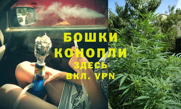 прущие грибы Карпинск
