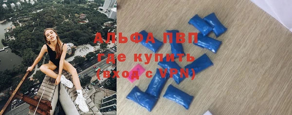 прущие грибы Карпинск