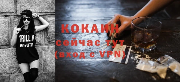 ГАЛЛЮЦИНОГЕННЫЕ ГРИБЫ Козловка
