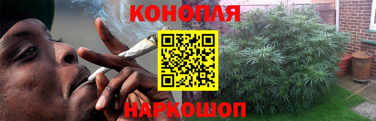 Бошки Шишки OG Kush  Каннабис Bruce Banner  Марихуана сатива  Учалы 